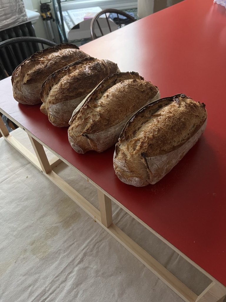 4 loaves of 50% whole wheat bread